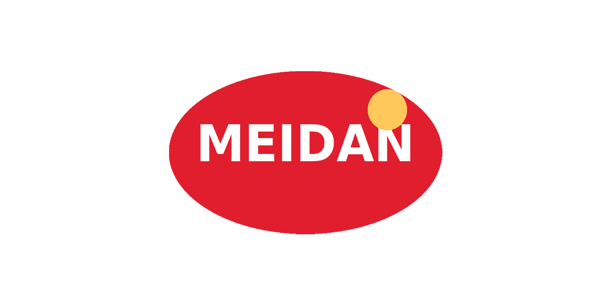 MEIDAN CHIPS